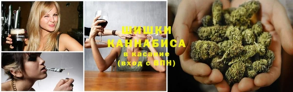 стаф Елабуга