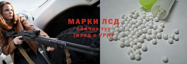 стаф Елабуга