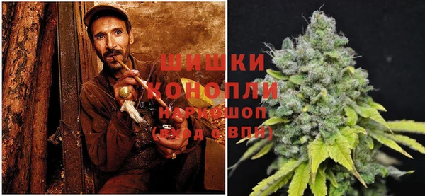стаф Елабуга