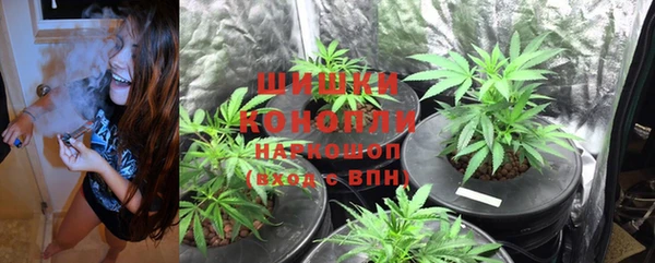 MDMA Ельня