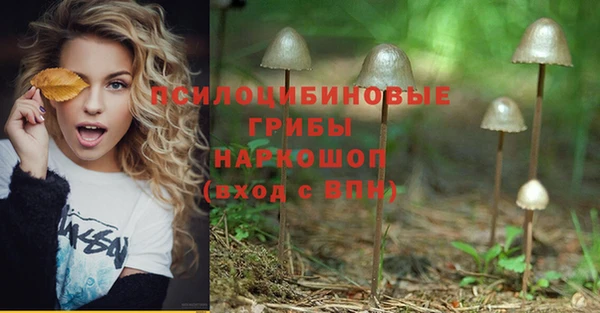 мдпв Заволжск