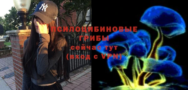 стаф Елабуга