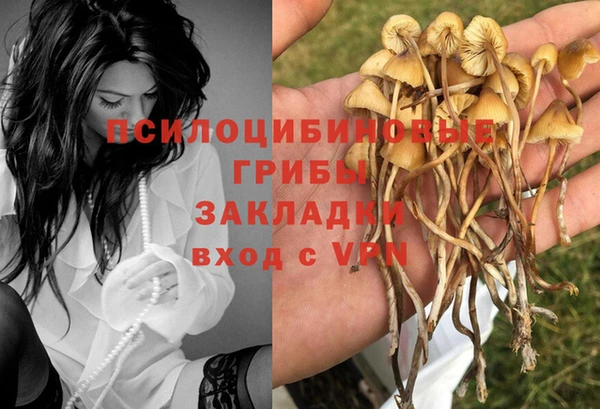 мдпв Заволжск