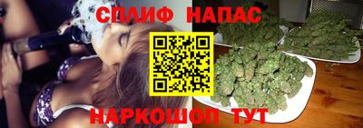 молекула духа Шахты