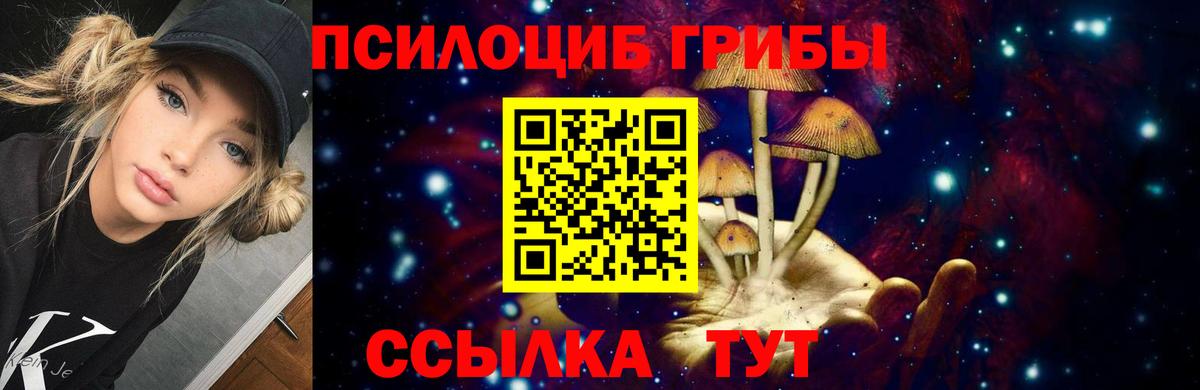Псилоцибиновые грибы Psilocybine cubensis  Галлюциногенные грибы ЛСД  Искитим  Вход с VPN 