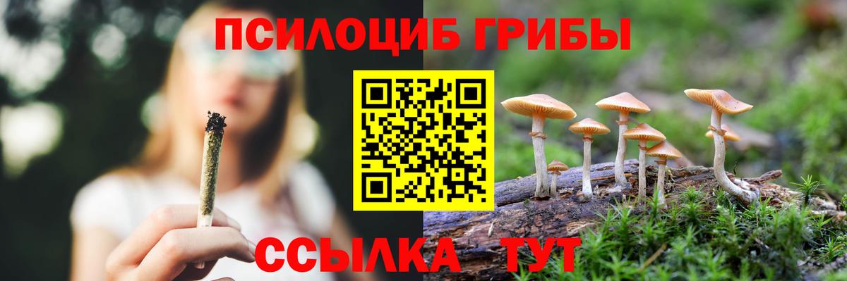 Галлюциногенные грибы GOLDEN TEACHER Искитим